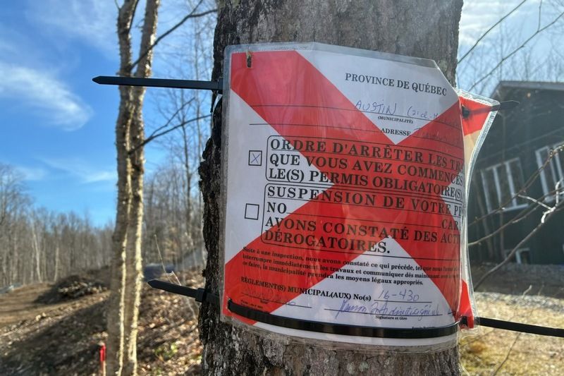 Austin : tensions autour d’un déboisement massif
